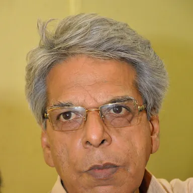 নৃসিংহপ্রসাদ ভাদুড়ী