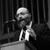 Chaim Potok - BDeBooks