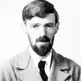 D. H. Lawrence - BDeBooks