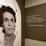 Leonora Carrington - BDeBooks