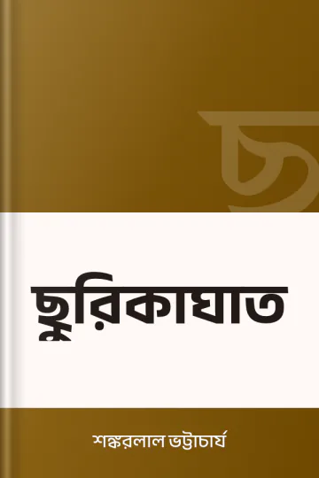 ছুরিকাঘাত লেখক শঙ্করলাল ভট্টাচার্য, বইয়ের প্রচ্ছদ