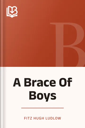 A Brace Of Boys by Fitz Hugh Ludlow, book cover