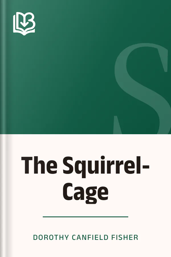 The Squirrel-Cage by Dorothy Canfield Fisher, book cover