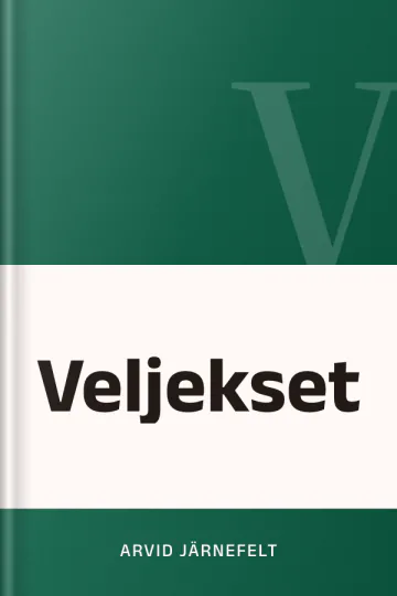Veljekset by Arvid Järnefelt, book cover