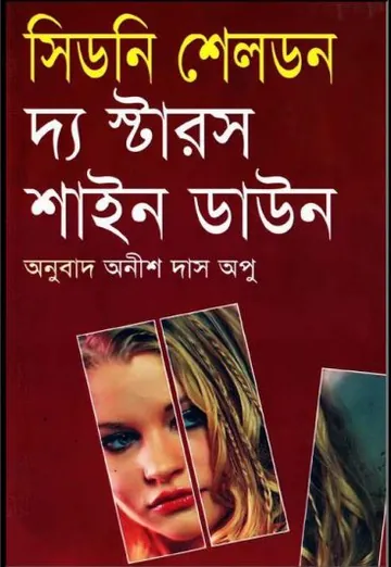 The Stars Shine Down লেখক Anish Das Apu, বইয়ের প্রচ্ছদ