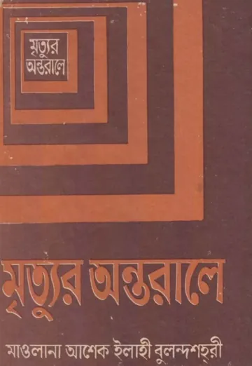 Mrittur Ontorale by Maulana Asheke Elahi Bulandshahri লেখক Maulana Asheke Elahi Bulandshahri, বইয়ের প্রচ্ছদ