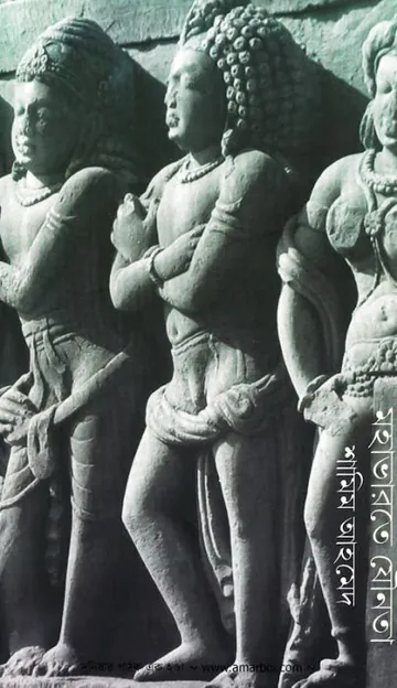 Mahabharate Jaunota লেখক Shamim Ahmed, বইয়ের প্রচ্ছদ
