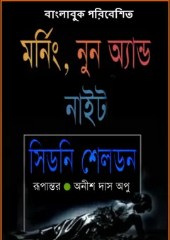 Morning Noon & night লেখক Anish Das Apu, বইয়ের প্রচ্ছদ