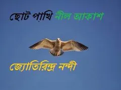 ছোট পাখি নীল আকাশ লেখক জ্যোতিরিন্দ্র নন্দী, বইয়ের প্রচ্ছদ
