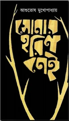 Sonar Horin Nei 2 লেখক আশুতোষ মুখোপাধ্যায়, বইয়ের প্রচ্ছদ