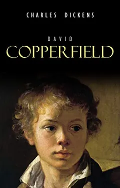 David Copperfield Bangla Translated Book লেখক Charles Dickens, বইয়ের প্রচ্ছদ