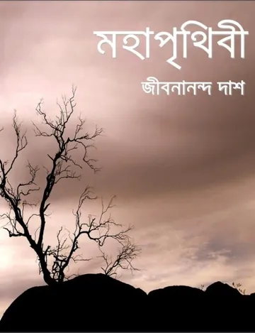 মহা পৃথিবী লেখক জীবনানন্দ দাশ, বইয়ের প্রচ্ছদ