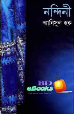 নন্দিনী লেখক আনিসুল হক, বইয়ের প্রচ্ছদ