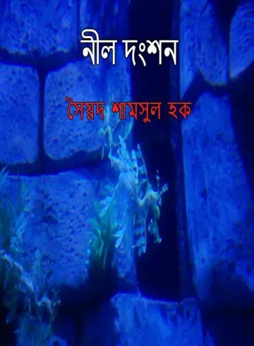 Nil Donshon লেখক সৈয়দ শামসুল হক, বইয়ের প্রচ্ছদ