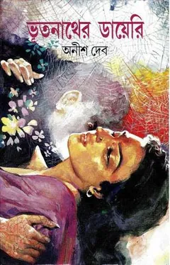 ভূতনাথের ডায়েরি লেখক অনীশ দেব, বইয়ের প্রচ্ছদ