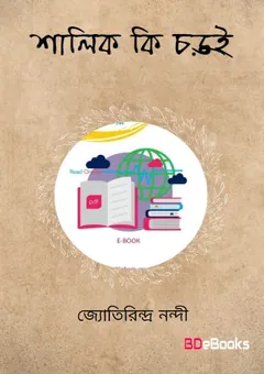শালিক কি চড়ুই লেখক জ্যোতিরিন্দ্র নন্দী, বইয়ের প্রচ্ছদ