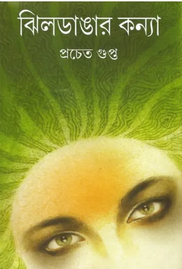 Jhildangar Konya লেখক প্রচেত গুপ্ত, বইয়ের প্রচ্ছদ