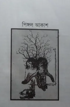 Pingal Akash লেখক Shawkat Ali, বইয়ের প্রচ্ছদ