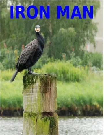 Iron Man von A.P.W. Langelaan, Buchcover