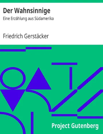 Der Wahnsinnige von Friedrich Gerstäcker, Buchcover