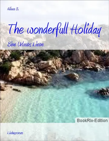 The wonderfull Holiday von Aileen B., Buchcover