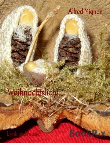 Weihnachtslicht von Alfred Mignon, Buchcover
