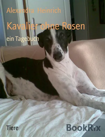 Kavalier ohne Rosen, Ein Tagebuch von Alexandra Heinrich, Buchcover