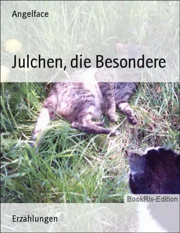 Julchen, die Besondere von Angelface, Buchcover