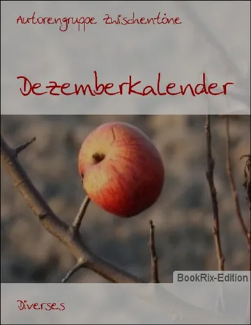 Dezemberkalender von Autorengruppe Zwischentöne, Buchcover