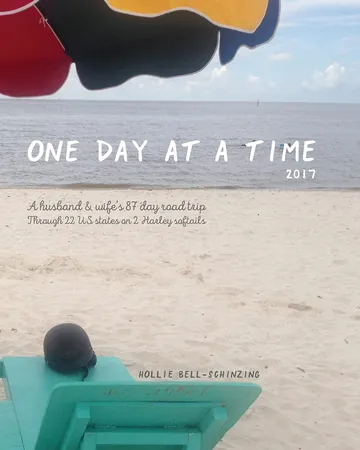 One day at a time 2017 by Hollie Bell-Schinzing, book cover