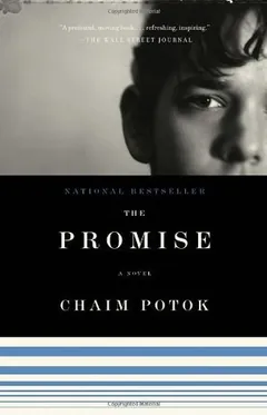 The Promise by Chaim Potok, book cover