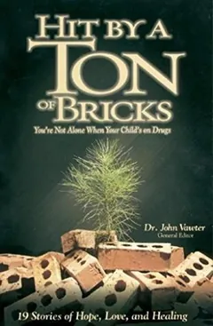 Hit By A Ton Of Bricks by John Vawter, book cover
