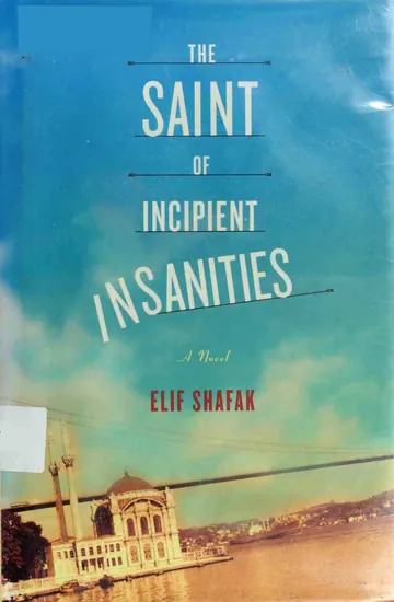 The Saint of Incipient Insanities by Elif Shafak, book cover