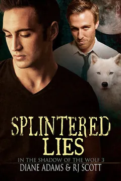 Splintered Lies by Diane Adams, book cover