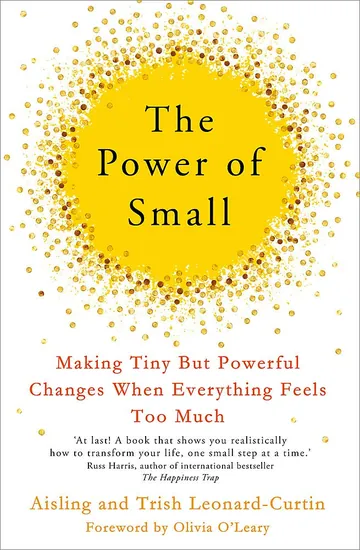 The Power of Small by Aisling Leonard-Curtin, book cover
