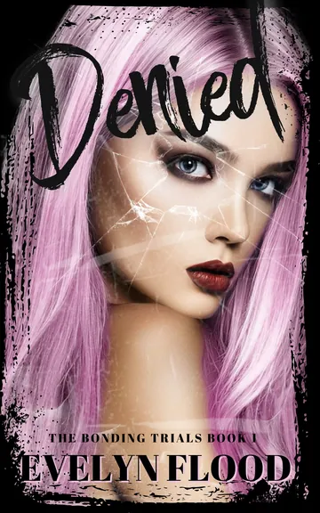 Denied by Evelyn Flood, book cover