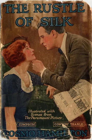 The Rustle of Silk by Cosmo Hamilton, book cover