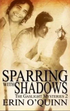 Sparring with Shadows by Erin O'Quinn, book cover