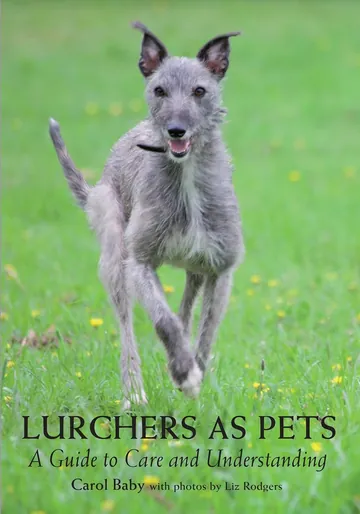 Lurchers as Pets by Carol Baby, book cover