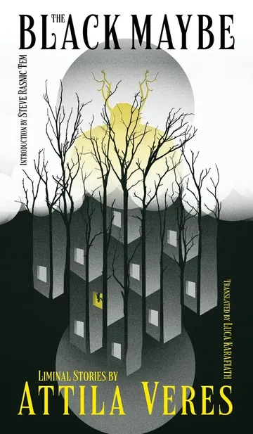 The Black Maybe by Attila Veres, book cover