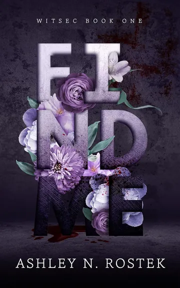 Find Me by Ashley N Rostek, book cover