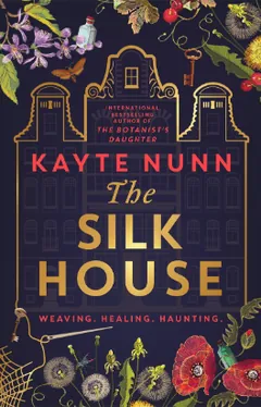 The Silk House by Kayte Nunn, book cover