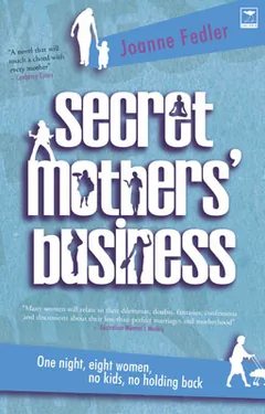 Secret Mothers' Business by Joanne Fedler, book cover