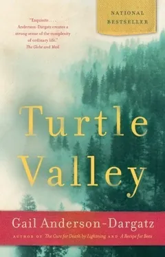 Turtle Valley by Gail Anderson-Dargatz, book cover
