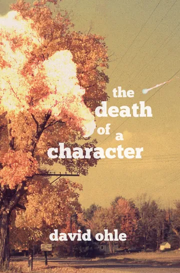 The Death of a Character by David Ohle, book cover
