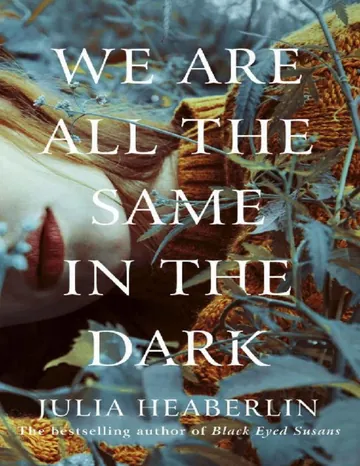 We Are All the Same in the Dark by Julia Heaberlin, book cover