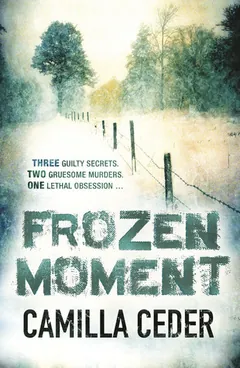 Frozen Moment by Camilla Ceder, book cover
