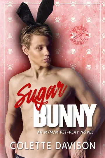 Sugar Bunny by Colette Davison, book cover