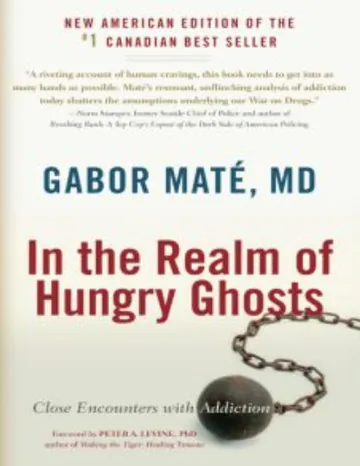 In the Realm of Hungry Ghosts: Close Encounters with Addiction by Gabor Mate, book cover