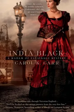 India Black by Carol K. Carr, book cover